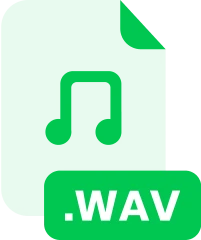 wav file supported