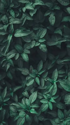 Background 5 for profile picture