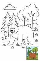 Majestic Brown Bear Coloring Page