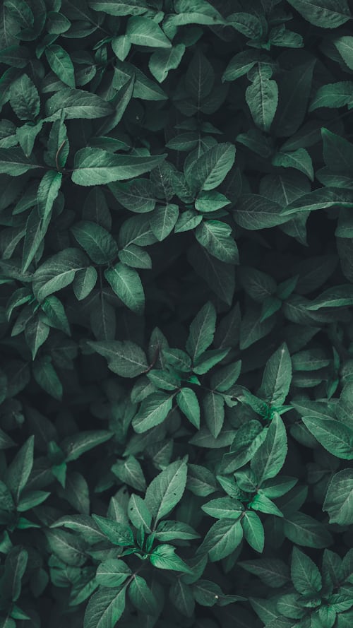 Background 5 for profile picture