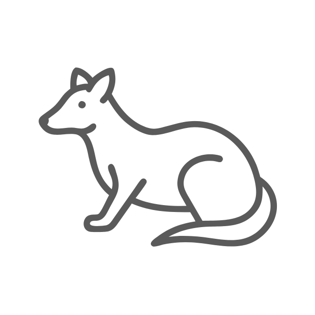 animal icon